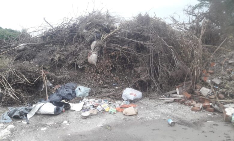 WhatsApp Image 2021 03 18 at 17.24.15 - Diario Resumen de la región